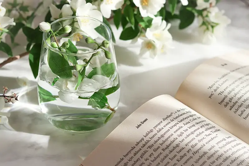 Wie können Sie bei den Qualitätsübersetzungen Kosten sparen?